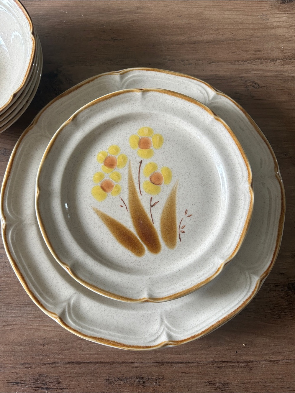Hearthside Classics Wellington Hand painted Stoneware Dinnerware set of 9 pcs - Picture 2 of 5